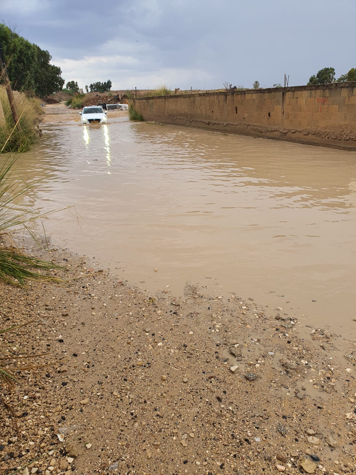 WhatsApp Image 2020-11-05 at 9.05.35 AM.jpeg.jpeg